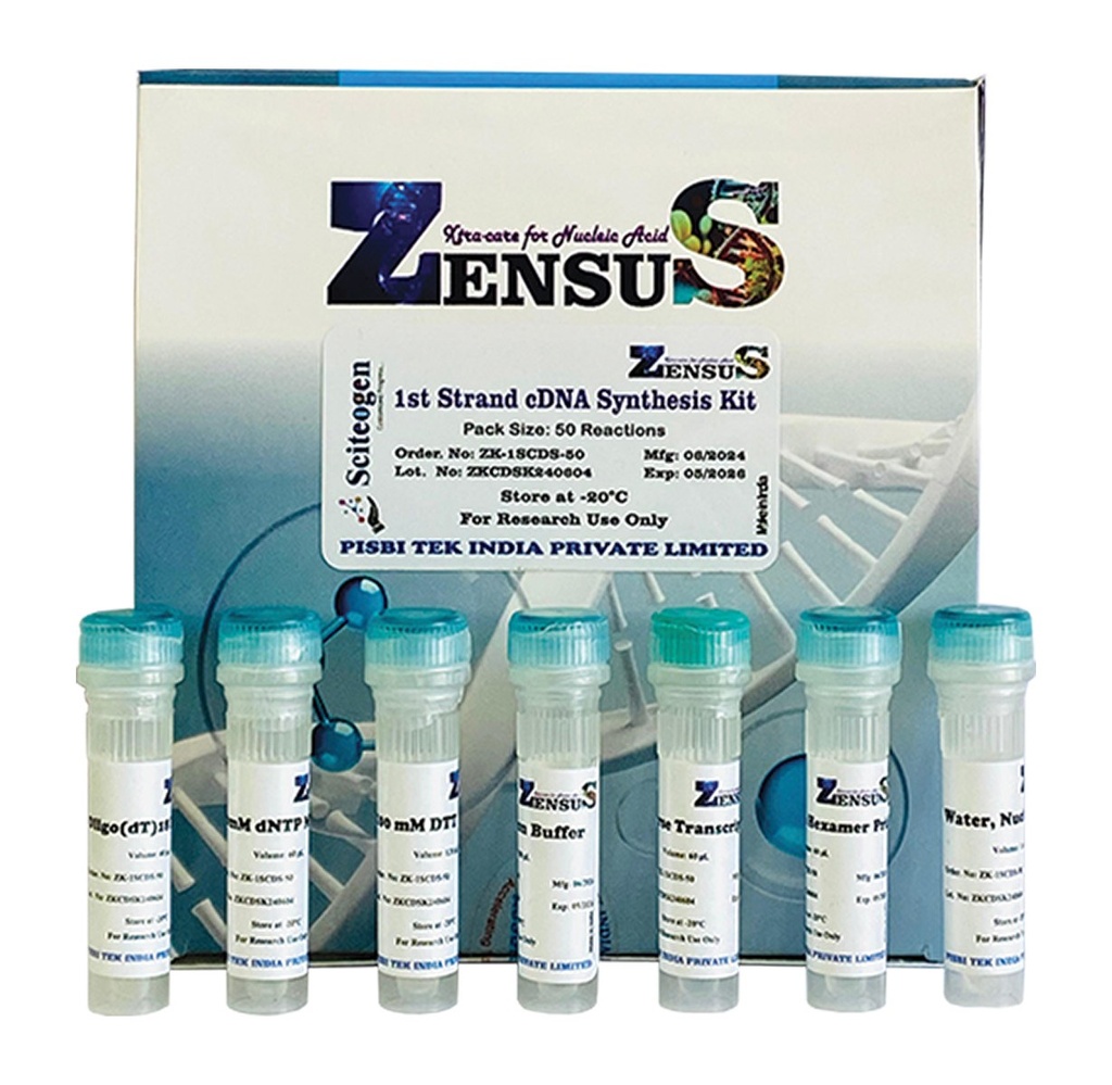 1st Strand cDNA Synthesis Kit - ZK-1SCDS-50