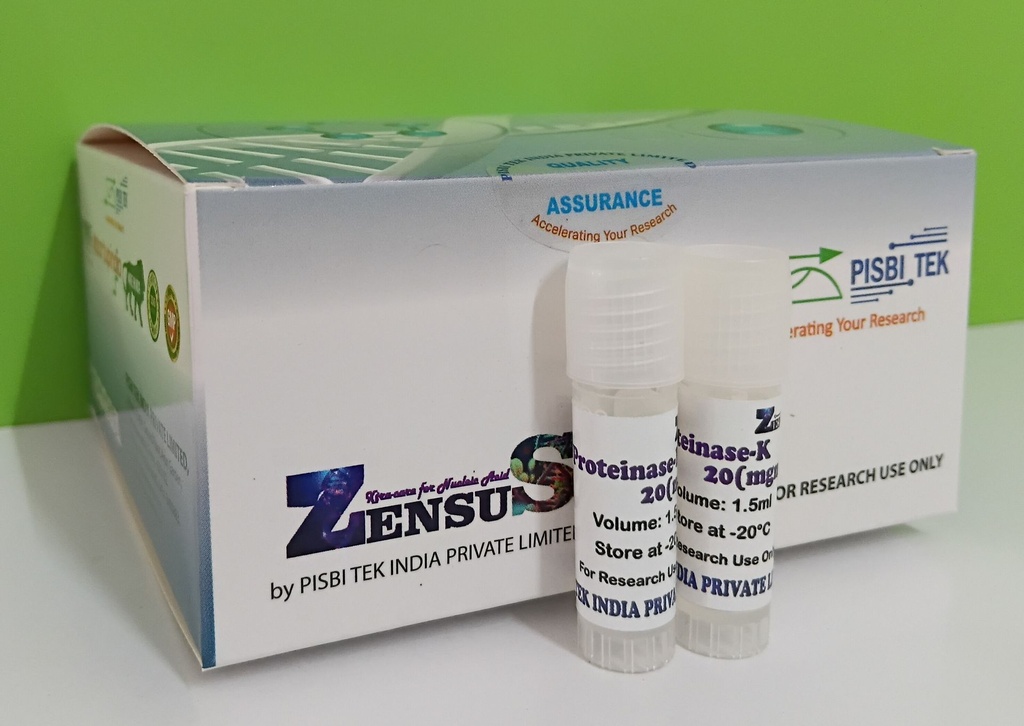 Proteinase K Solution (20 mg/ml) - ZK-PKS-5
